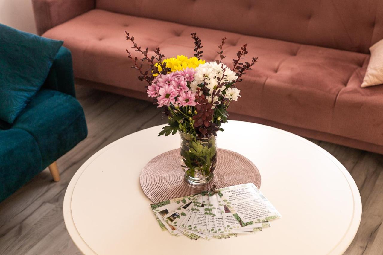 Apartament Pod Lasem Apartment Oldrzychowice Klodzkie Luaran gambar